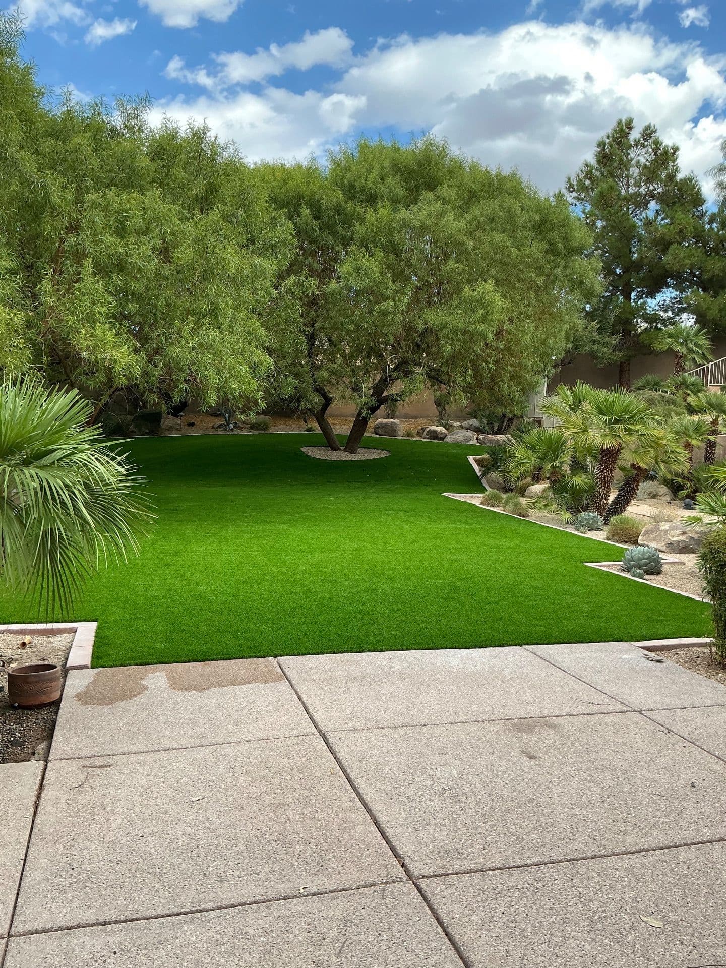 Gallery photos for Stunning Turf Transformation in Anthem: Image #3