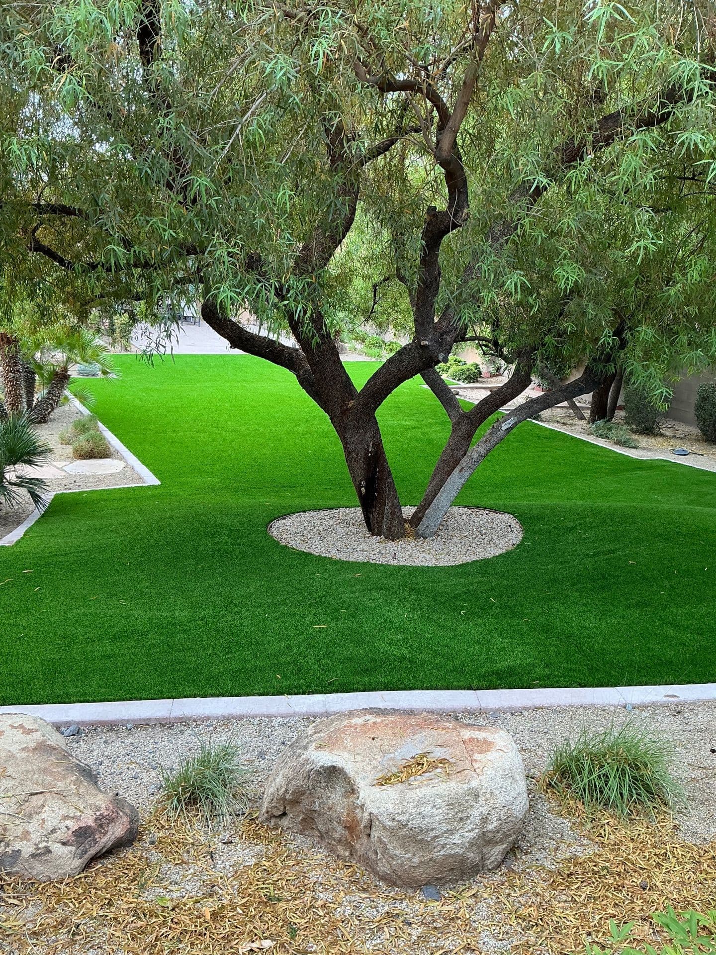 Stunning Turf Transformation in Anthem image