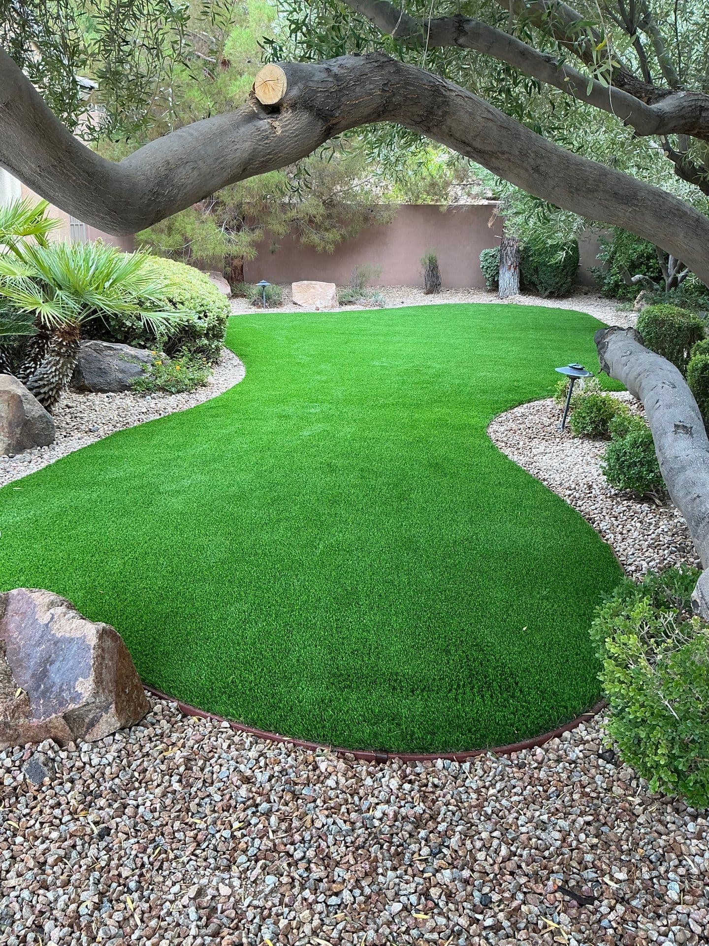 Gallery photos for Stunning Turf Transformation in Anthem: Image #1