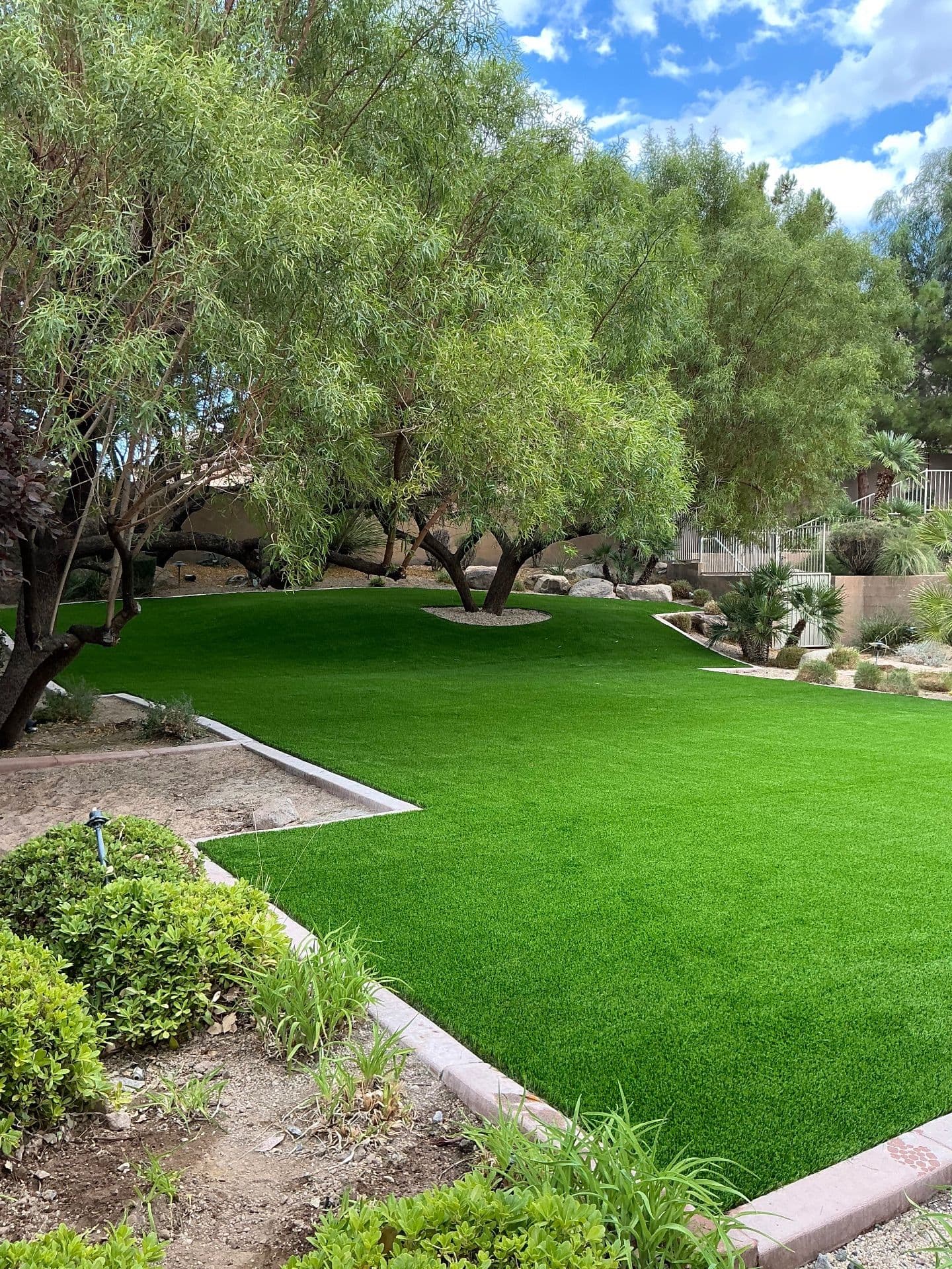 Gallery photos for Stunning Turf Transformation in Anthem: Image #5