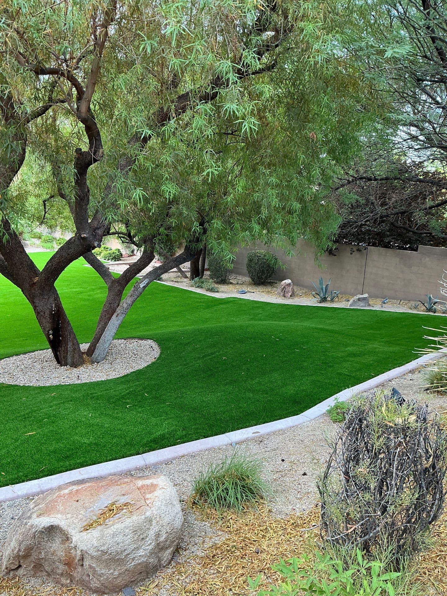 Gallery photos for Stunning Turf Transformation in Anthem: Image #4