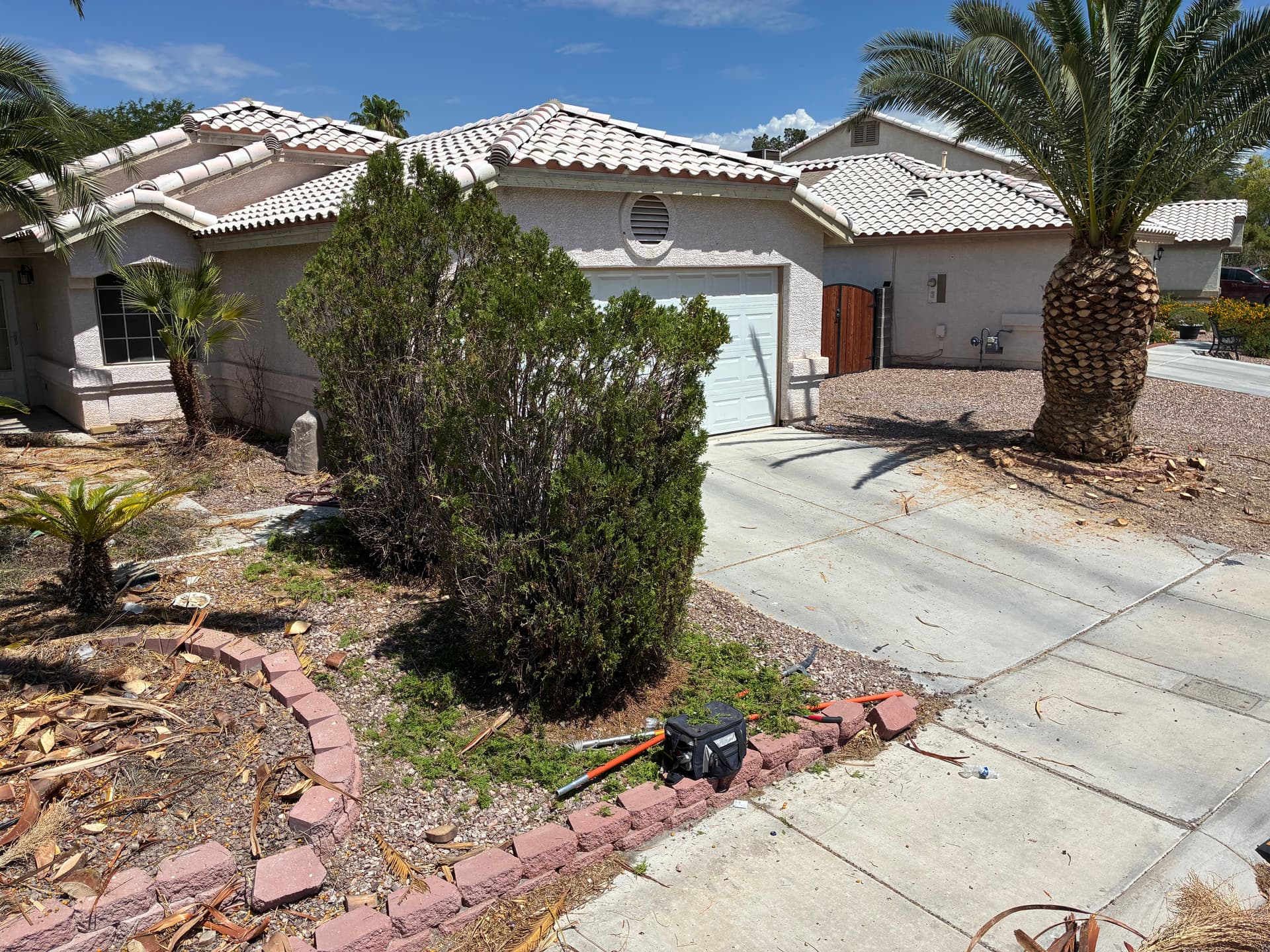 Gallery photos for Palm Tree and Shrub Trimming That Brought Back the Curb Appeal: Image #4