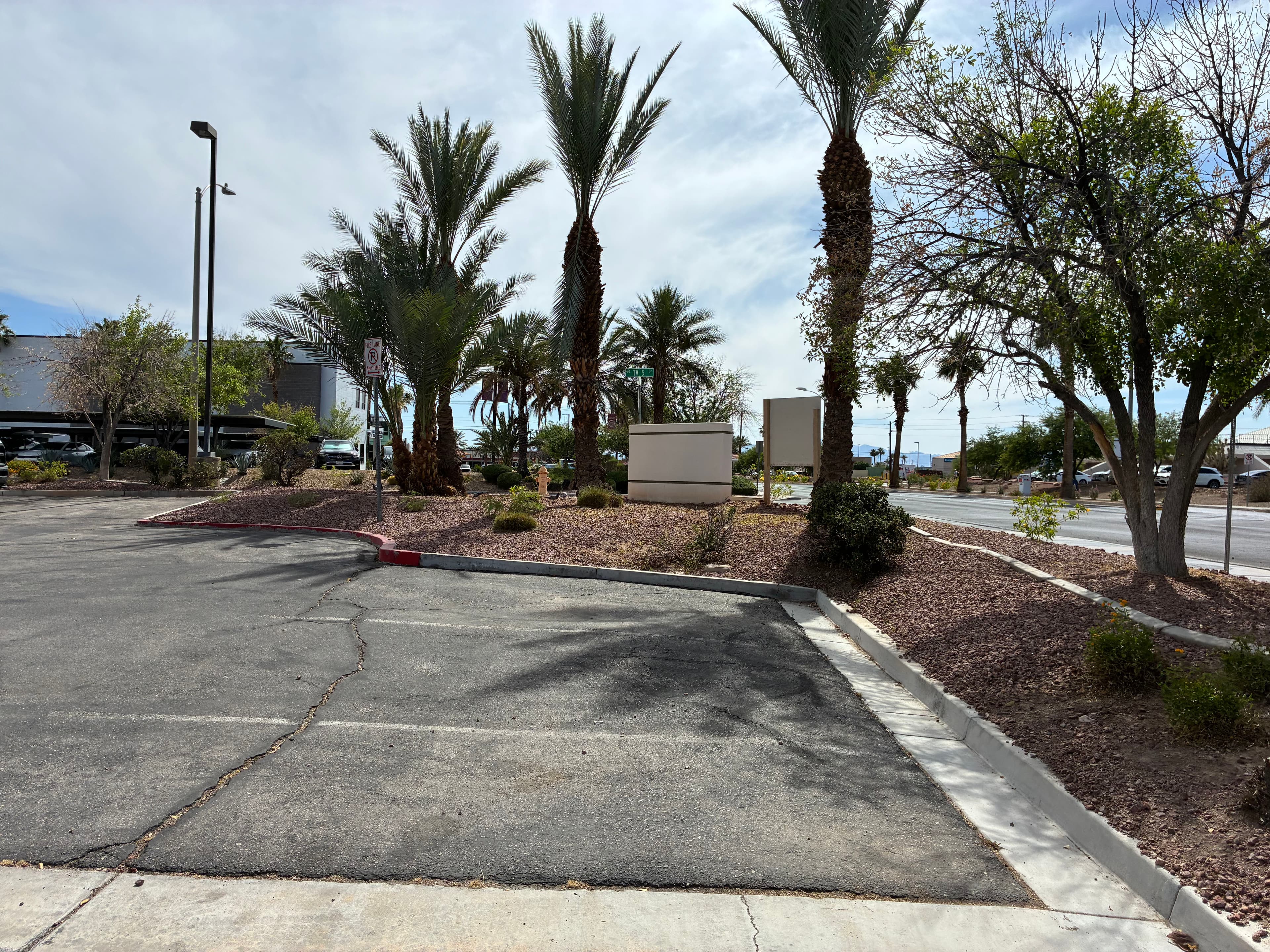 Project Commercial Property Cleanup and Palm Tree Trimming Done Right image