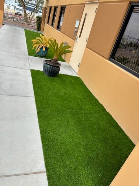Gallery photos for Commercial Area Transformed with Green Turf: Image #2