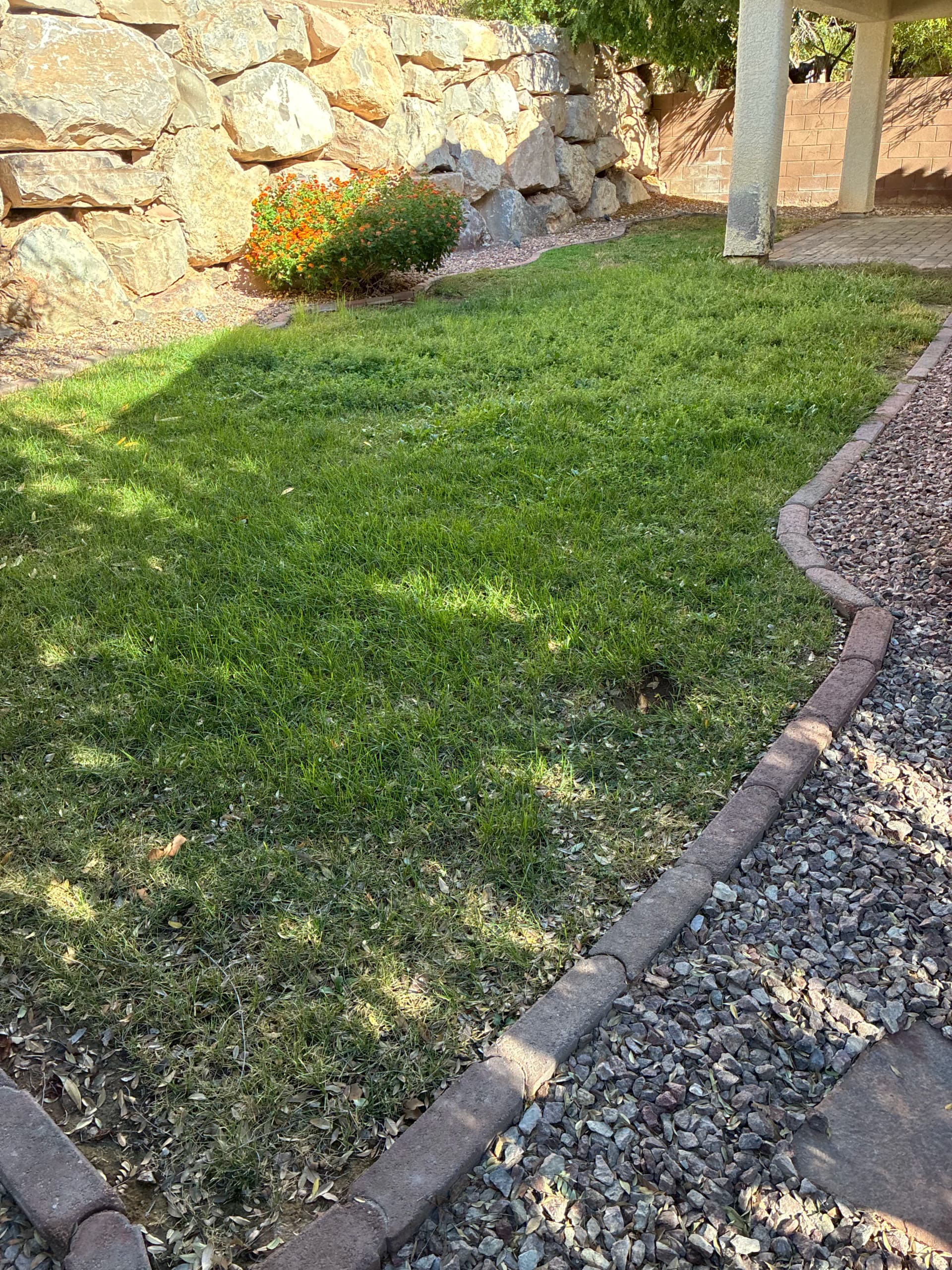 Gallery photos for Patchy Backyard Lawn Replaced with Lush Artificial Turf: Image #1