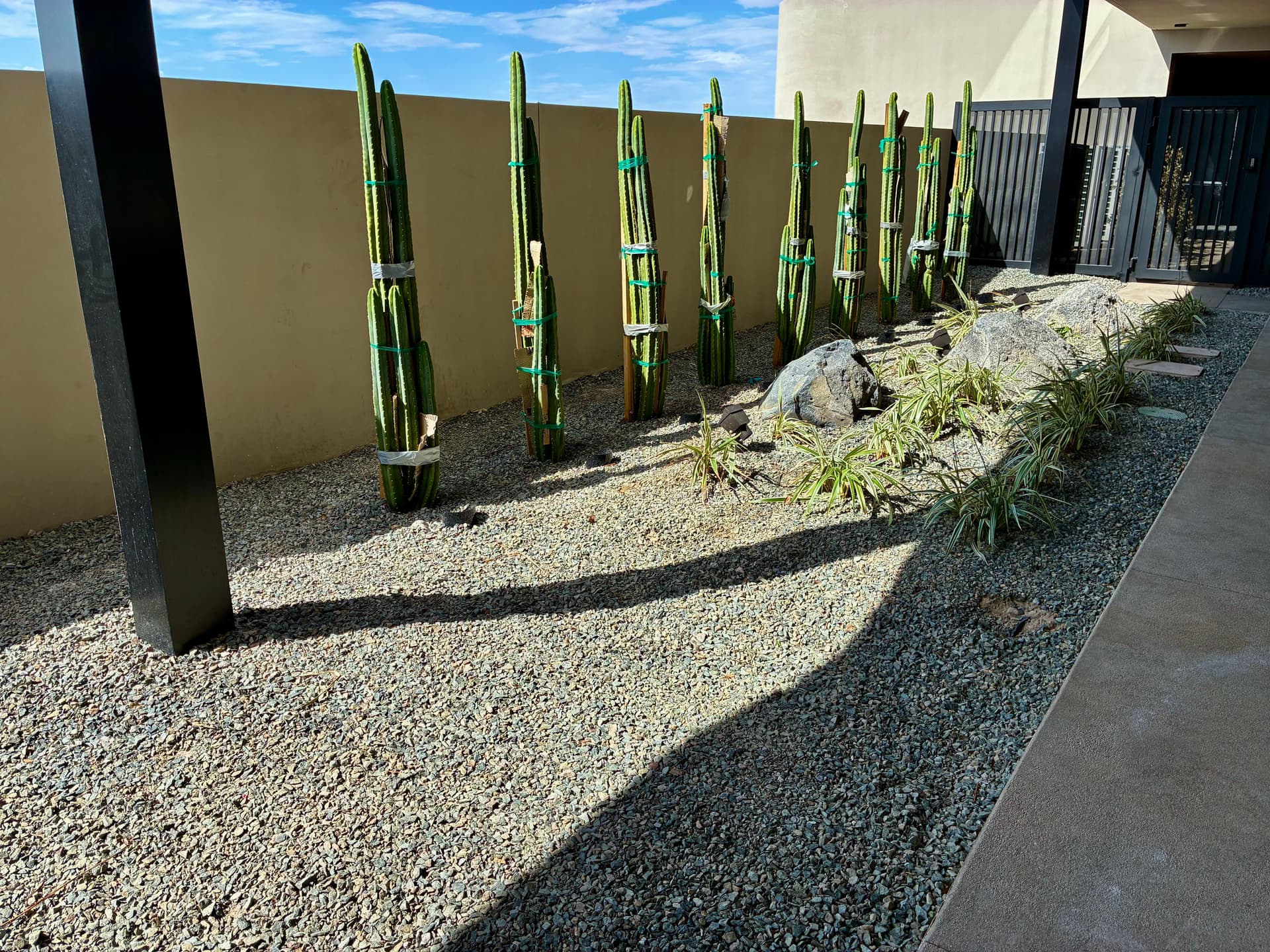 Gallery photos for Desert Landscape Design and Lighting at MacDonald Highlands: Image #8