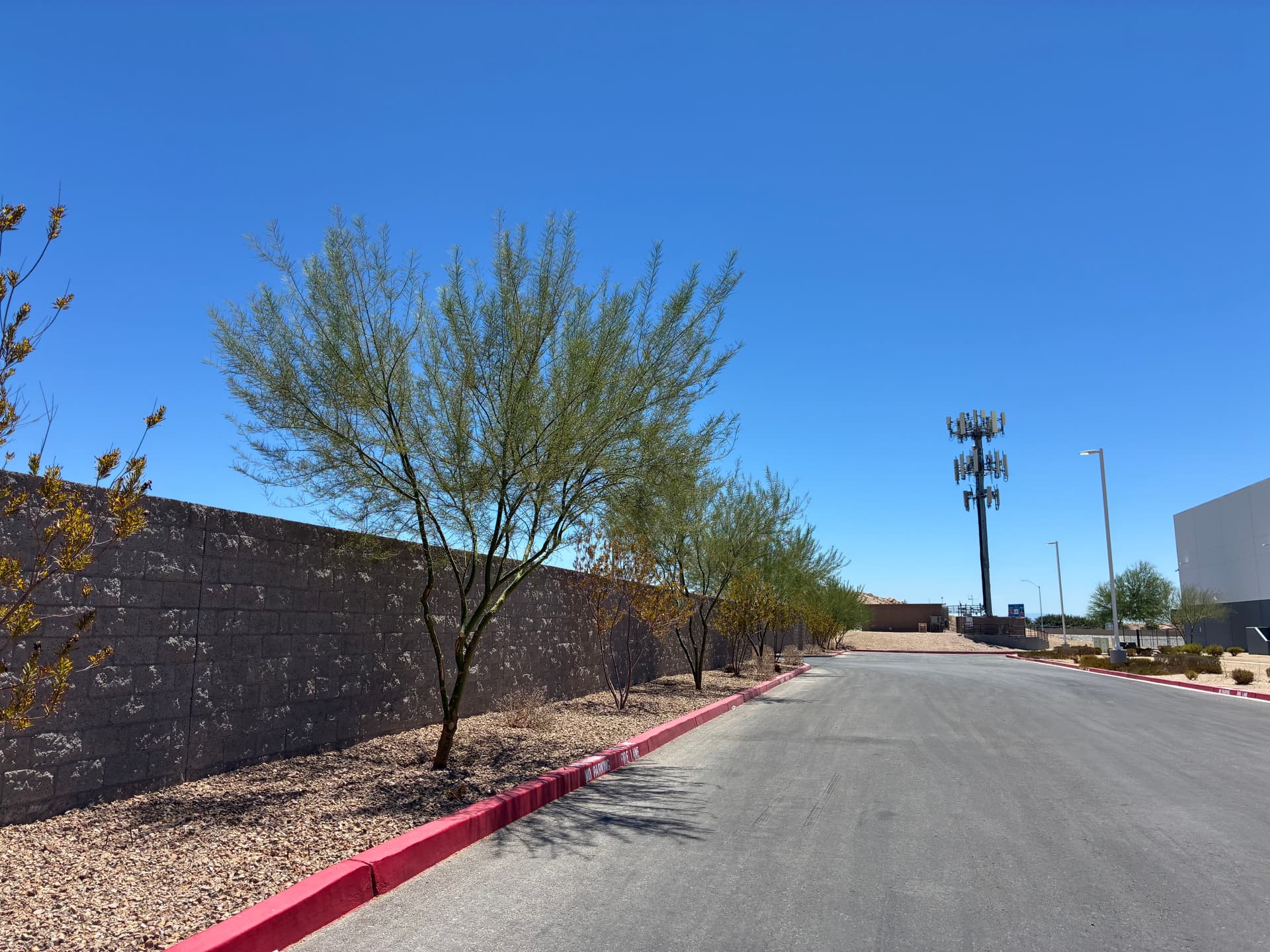 Gallery photos for Commercial Tree Trimming and Landscape Care in North Las Vegas: Image #9