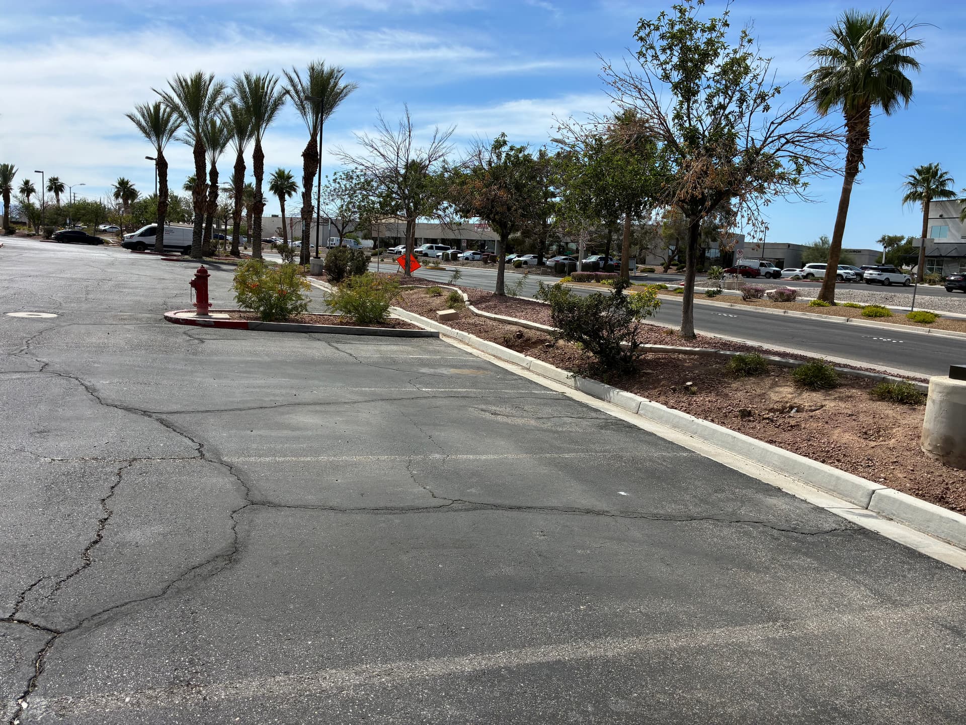 Gallery photos for Commercial Property Cleanup and Palm Tree Trimming Done Right: Image #4