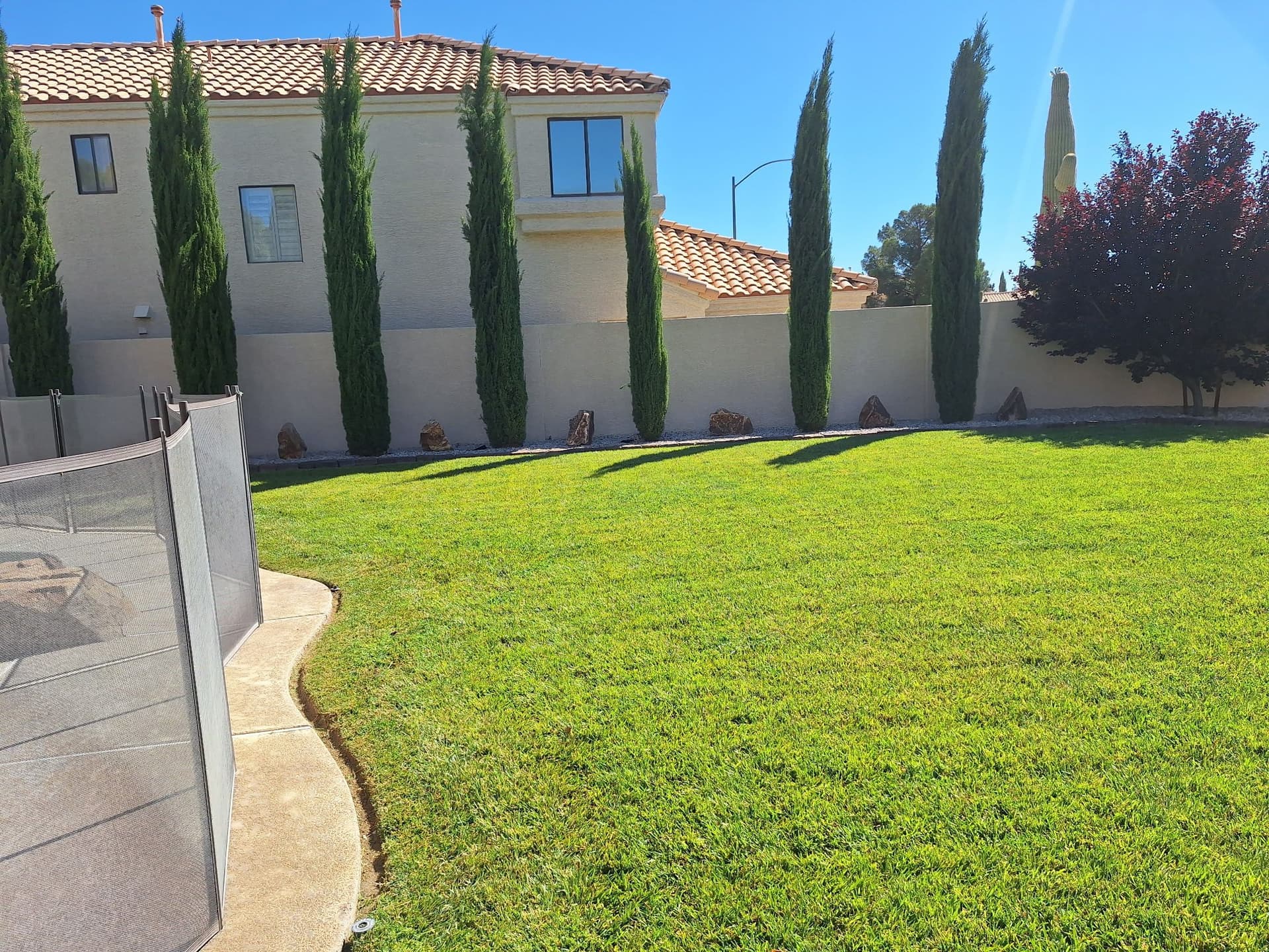 Gallery photos for Weekly Lawn and Landscape Maintenance That Actually Shows: Image #3