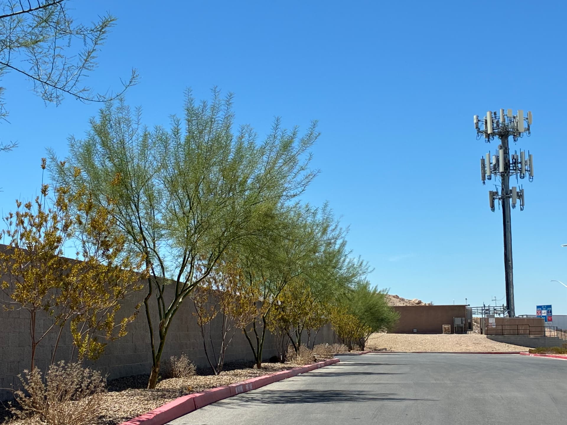 Gallery photos for Commercial Tree Trimming and Landscape Care in North Las Vegas: Image #8