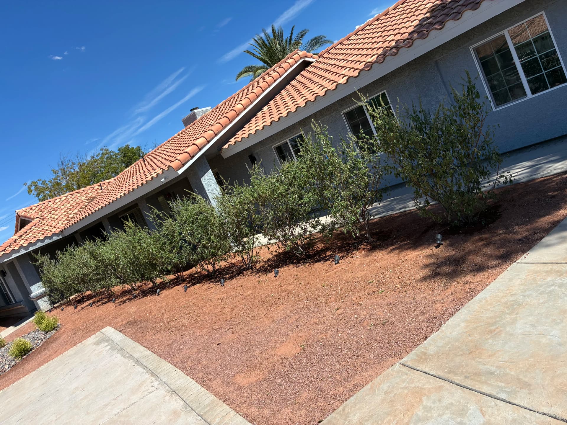 Gallery photos for Out With the Old Shrubs, In With Chaste Plants: Image #2