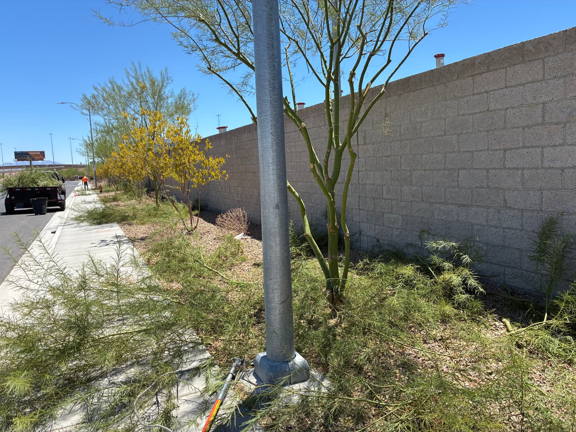 Gallery photos for Commercial Tree Trimming and Landscape Care in North Las Vegas: Image #3