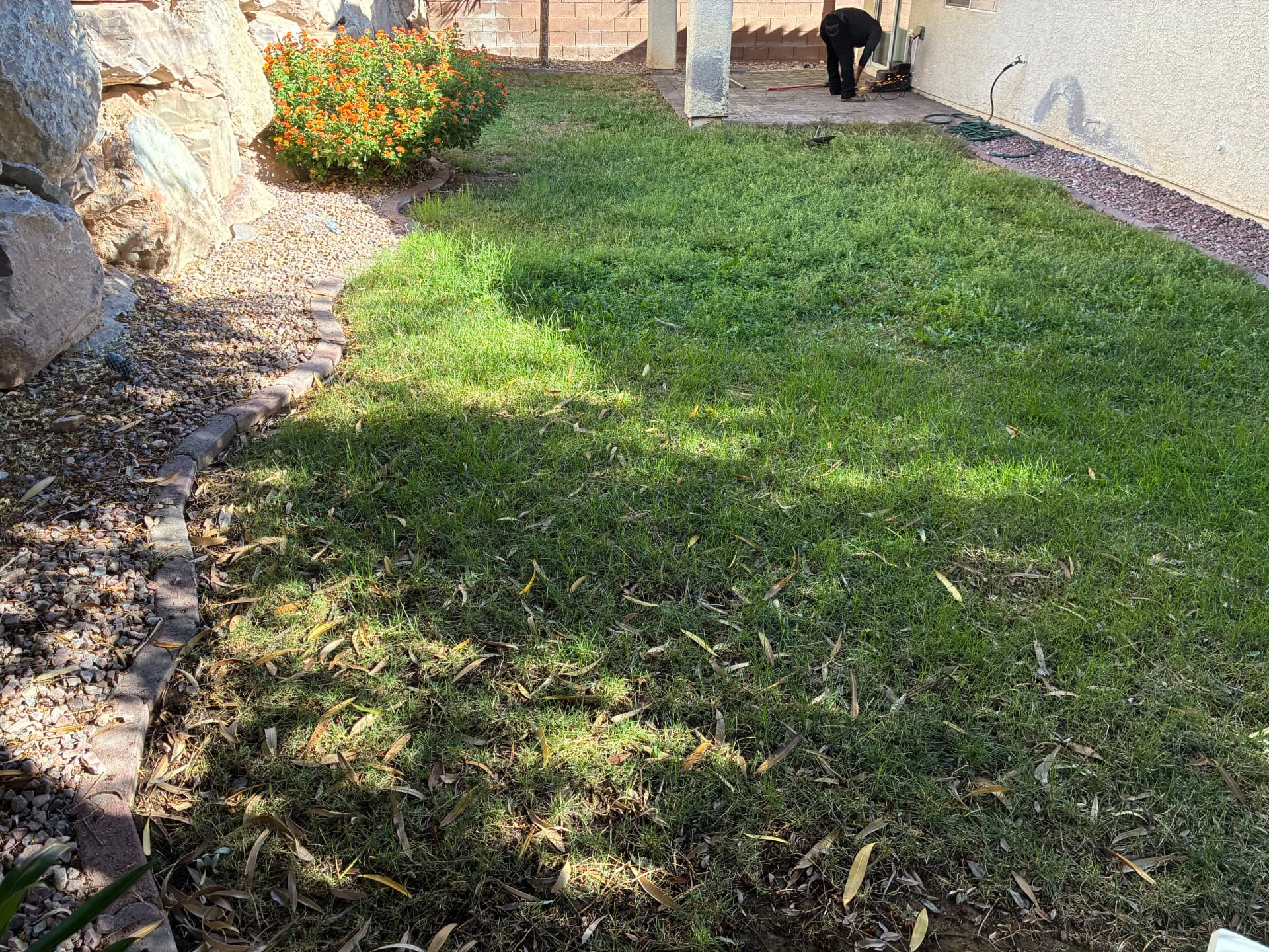 Patchy Backyard Lawn Replaced with Lush Artificial Turf image