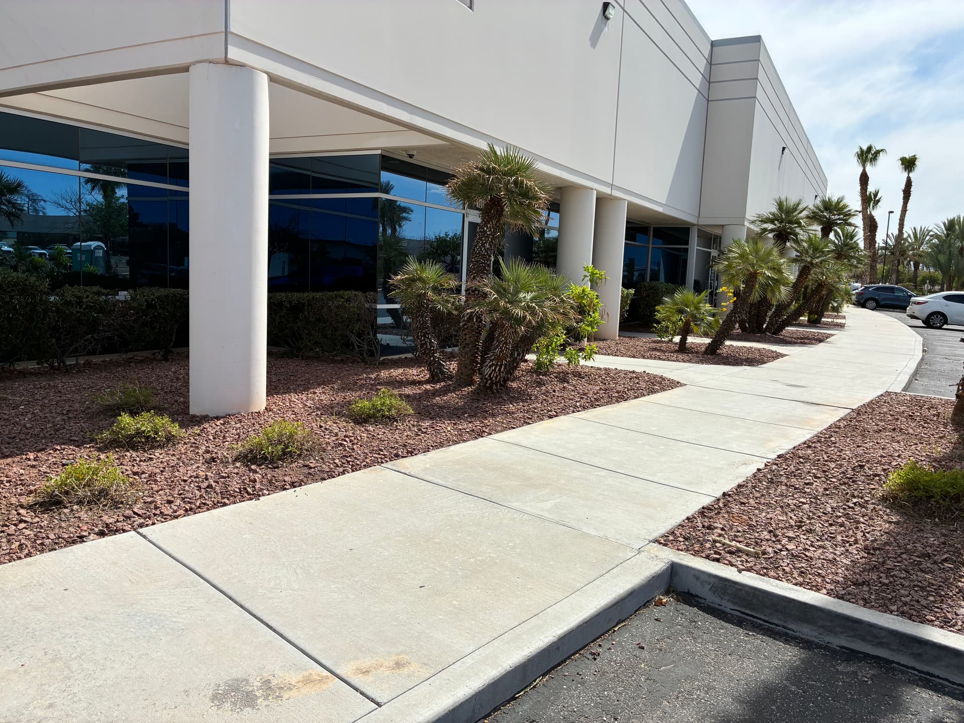 Gallery photos for Commercial Property Cleanup and Palm Tree Trimming Done Right: Image #7