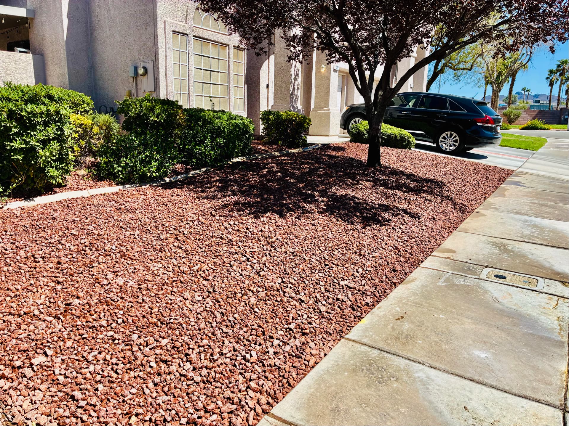 Gallery photos for Las Vegas Turf Removal and Decorative Rock Landscaping: Image #2