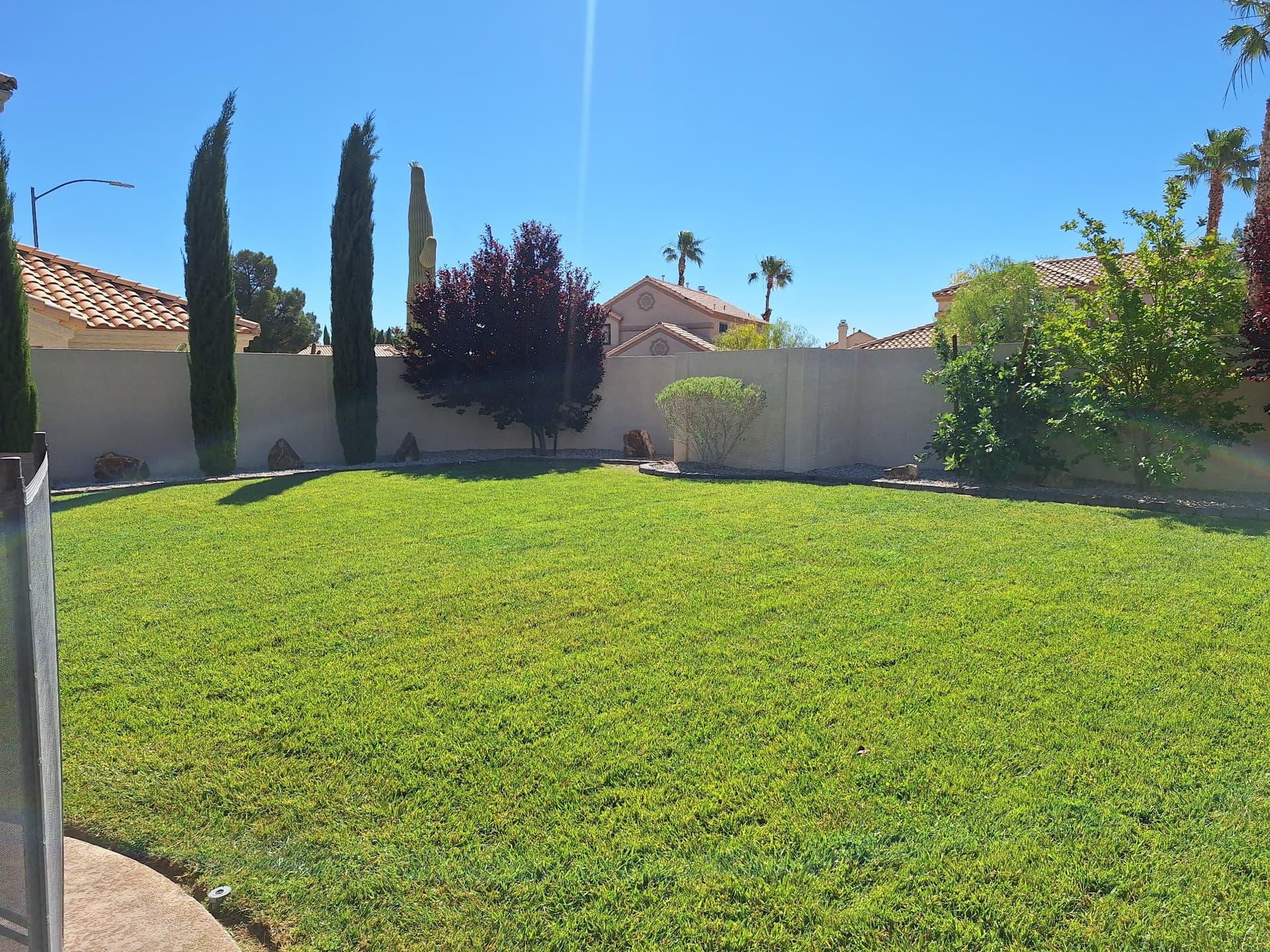 Gallery photos for Weekly Lawn and Landscape Maintenance That Actually Shows: Image #2
