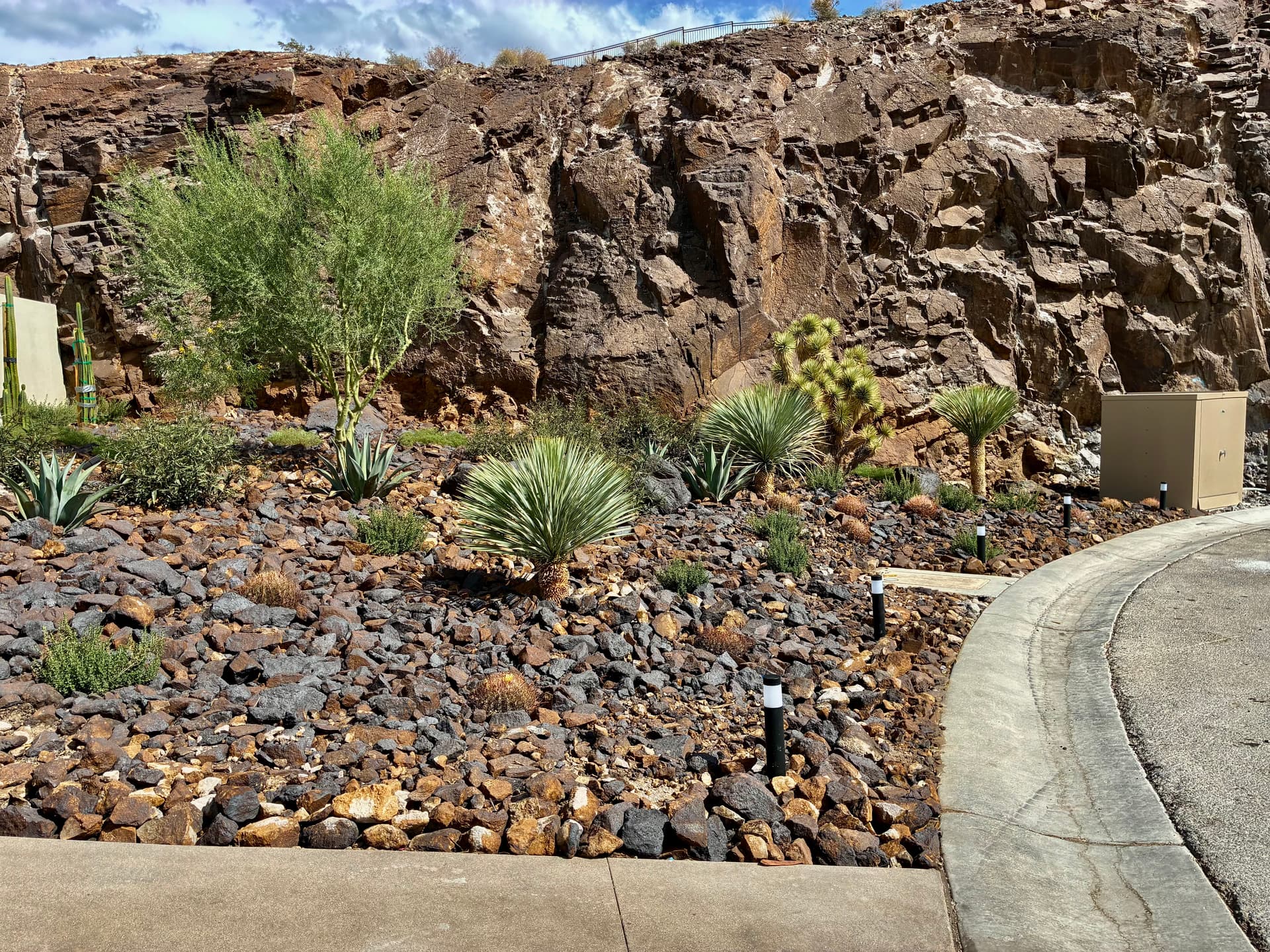 Gallery photos for Desert Landscape Design and Lighting at MacDonald Highlands: Image #1