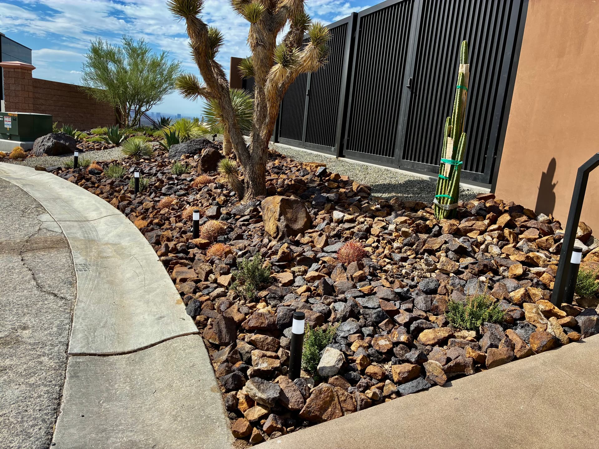 Gallery photos for Desert Landscape Design and Lighting at MacDonald Highlands: Image #3