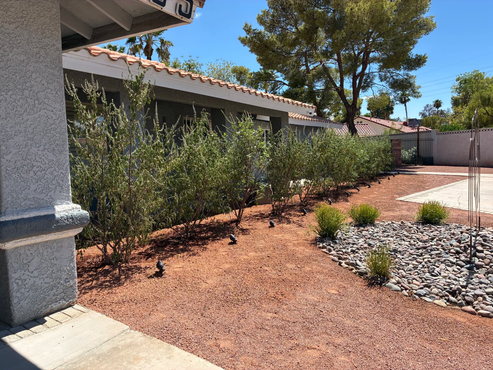 Gallery photos for Out With the Old Shrubs, In With Chaste Plants: Image #3