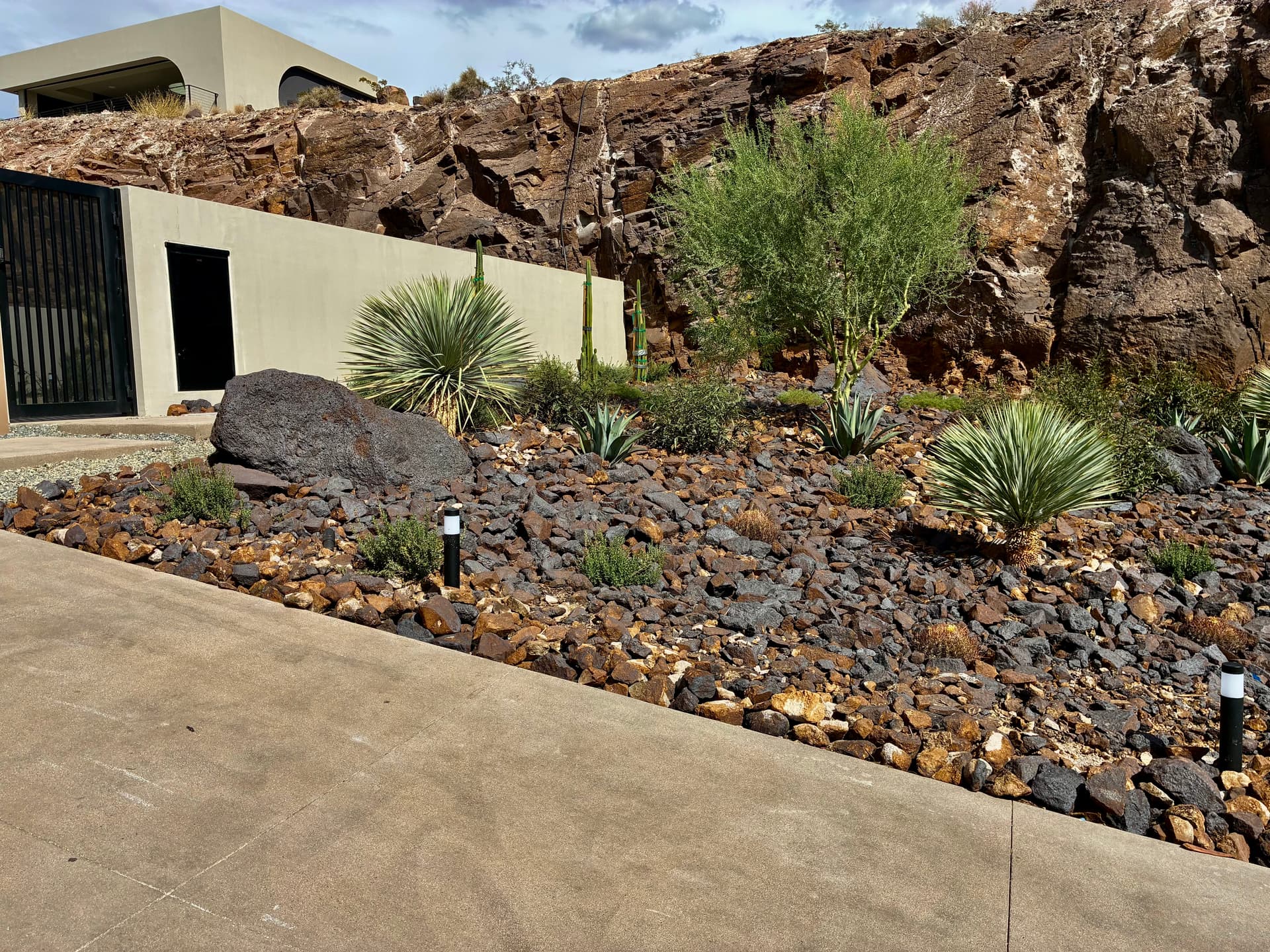 Gallery photos for Desert Landscape Design and Lighting at MacDonald Highlands: Image #2
