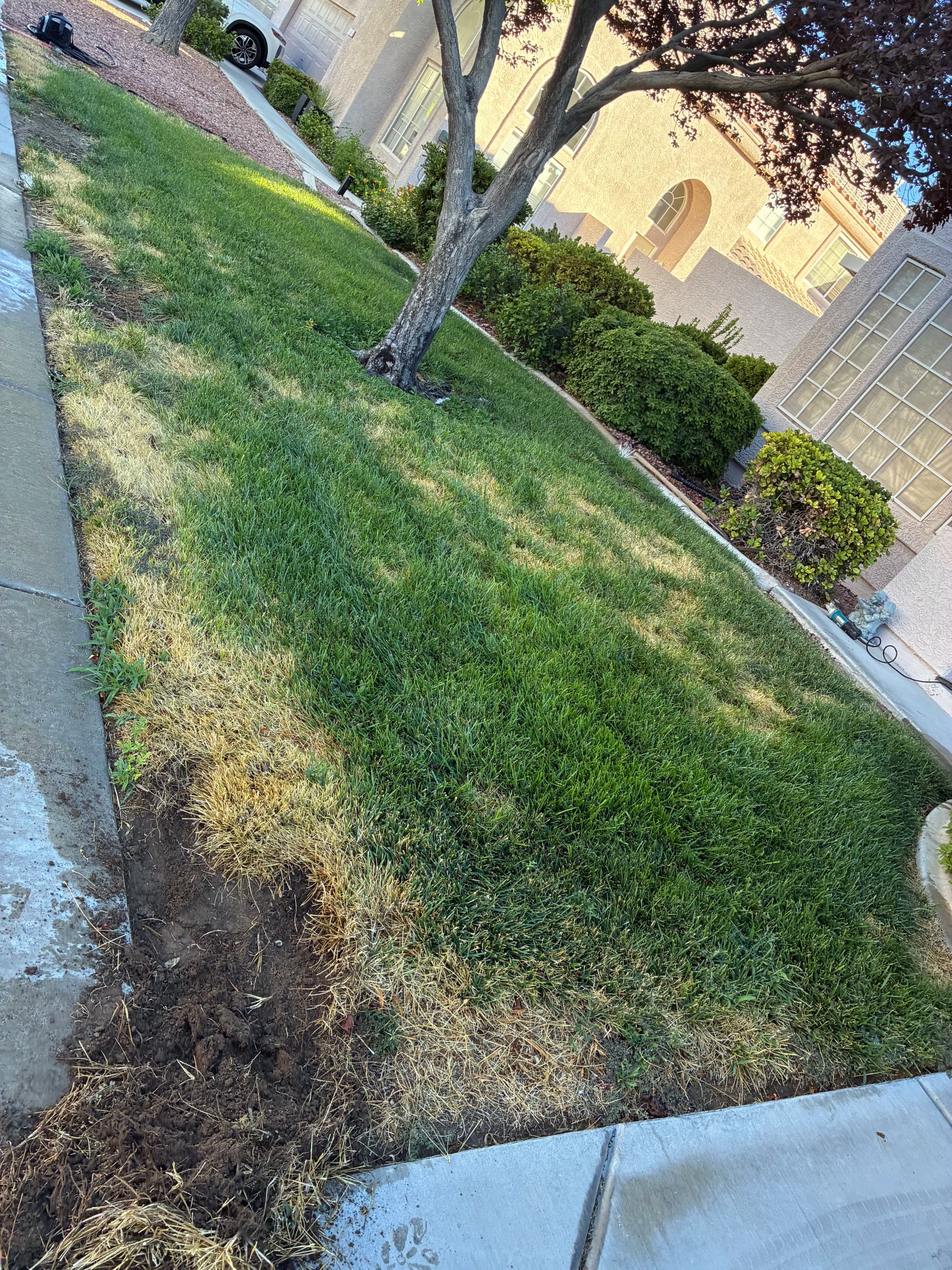 Las Vegas Turf Removal and Decorative Rock Landscaping image