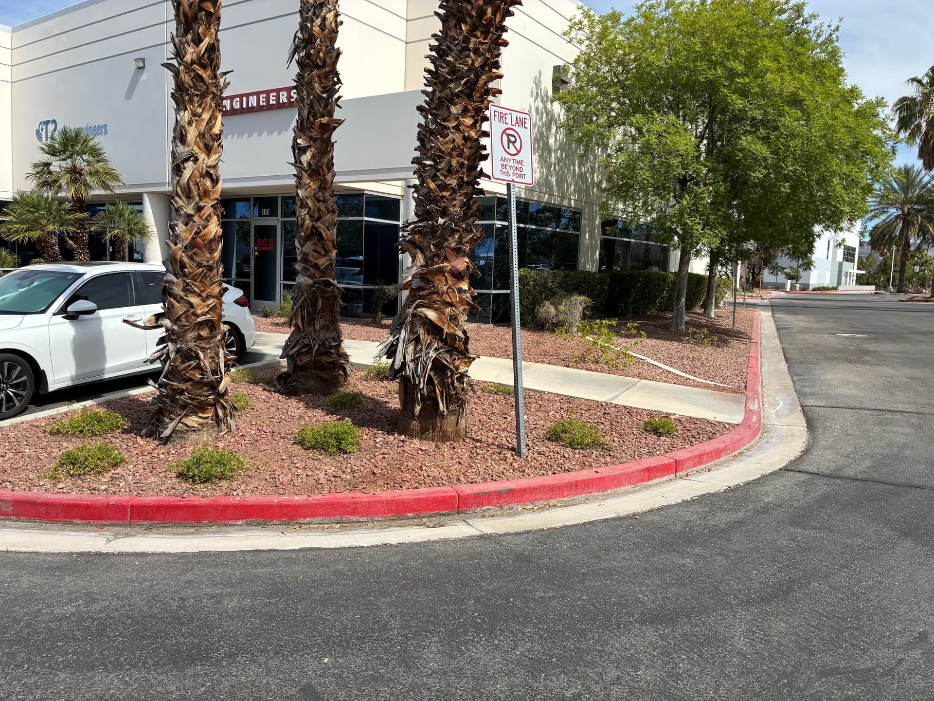 Gallery photos for Commercial Property Cleanup and Palm Tree Trimming Done Right: Image #1