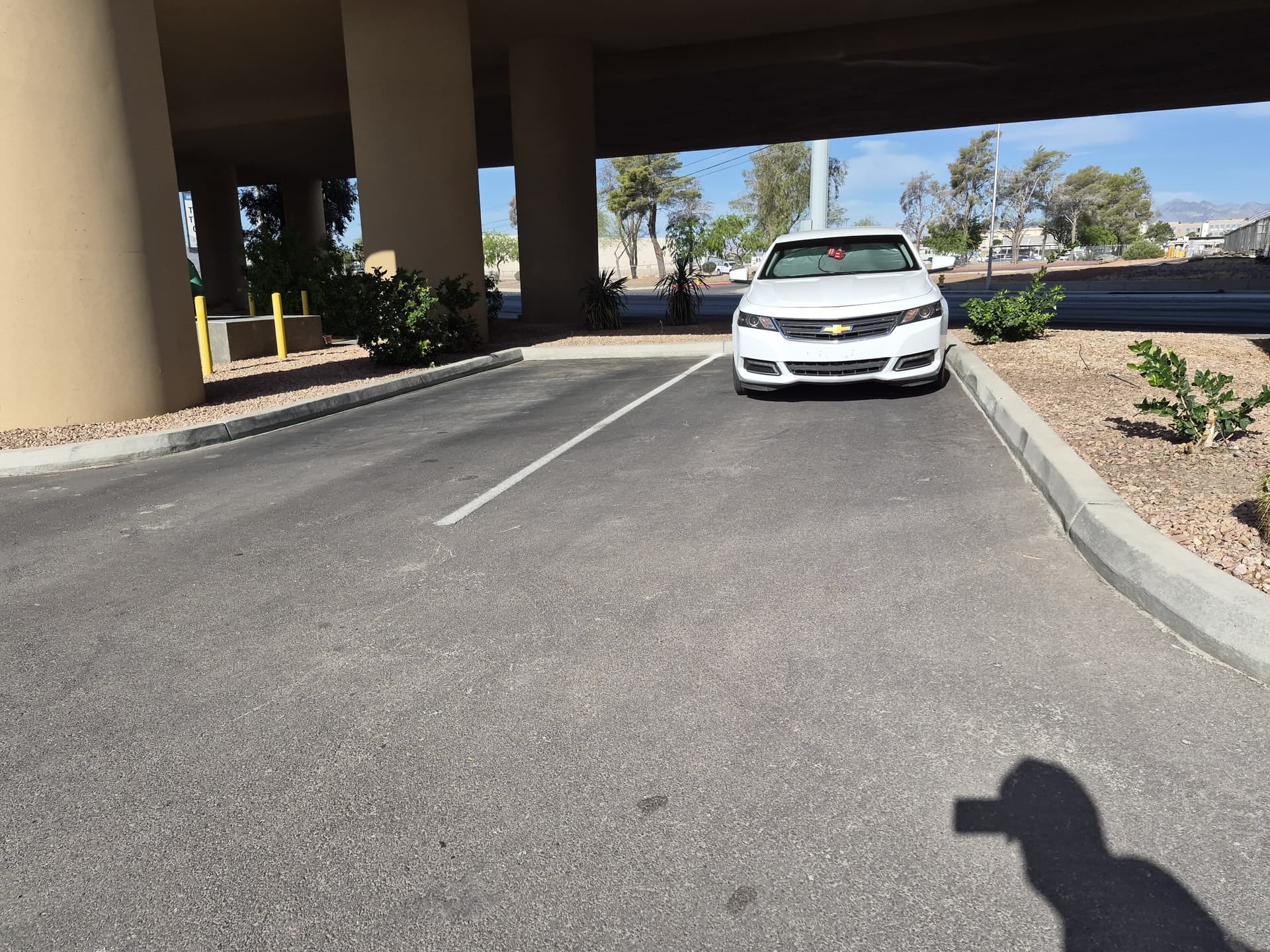 Gallery photos for Commercial Landscaping Maintenance at a Large Las Vegas Truck Facility: Image #5