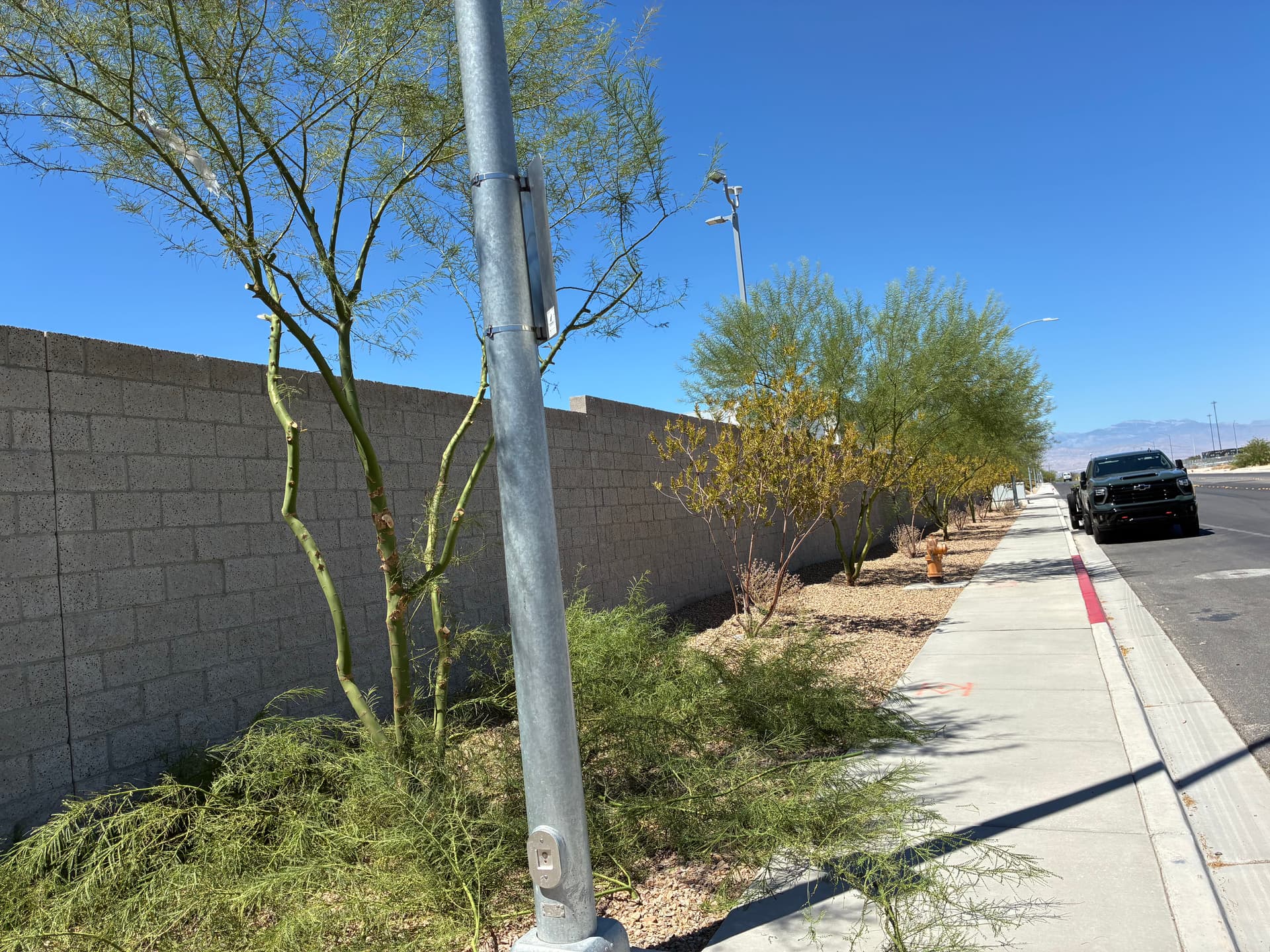 Gallery photos for Commercial Tree Trimming and Landscape Care in North Las Vegas: Image #2