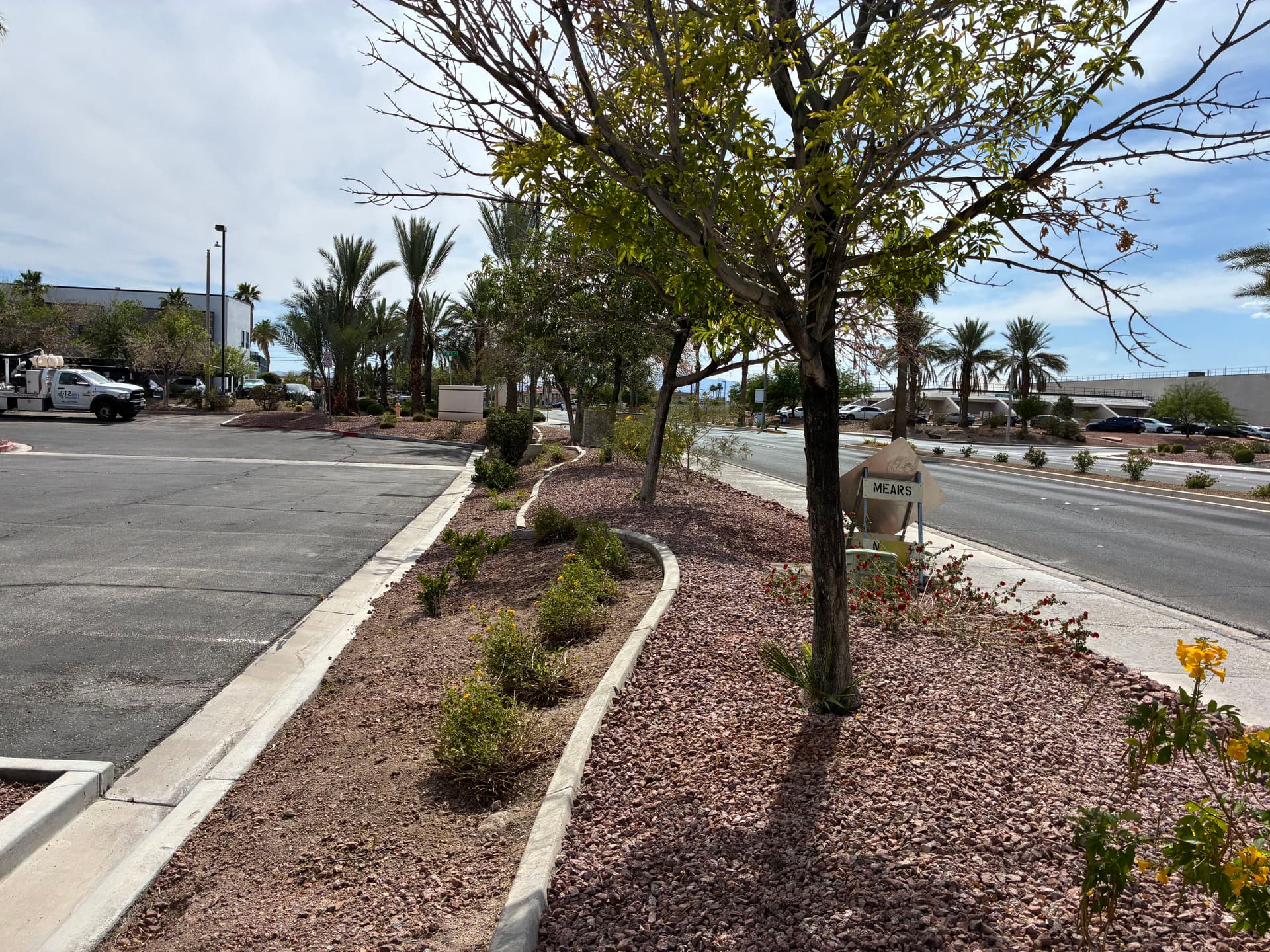 Gallery photos for Commercial Property Cleanup and Palm Tree Trimming Done Right: Image #2