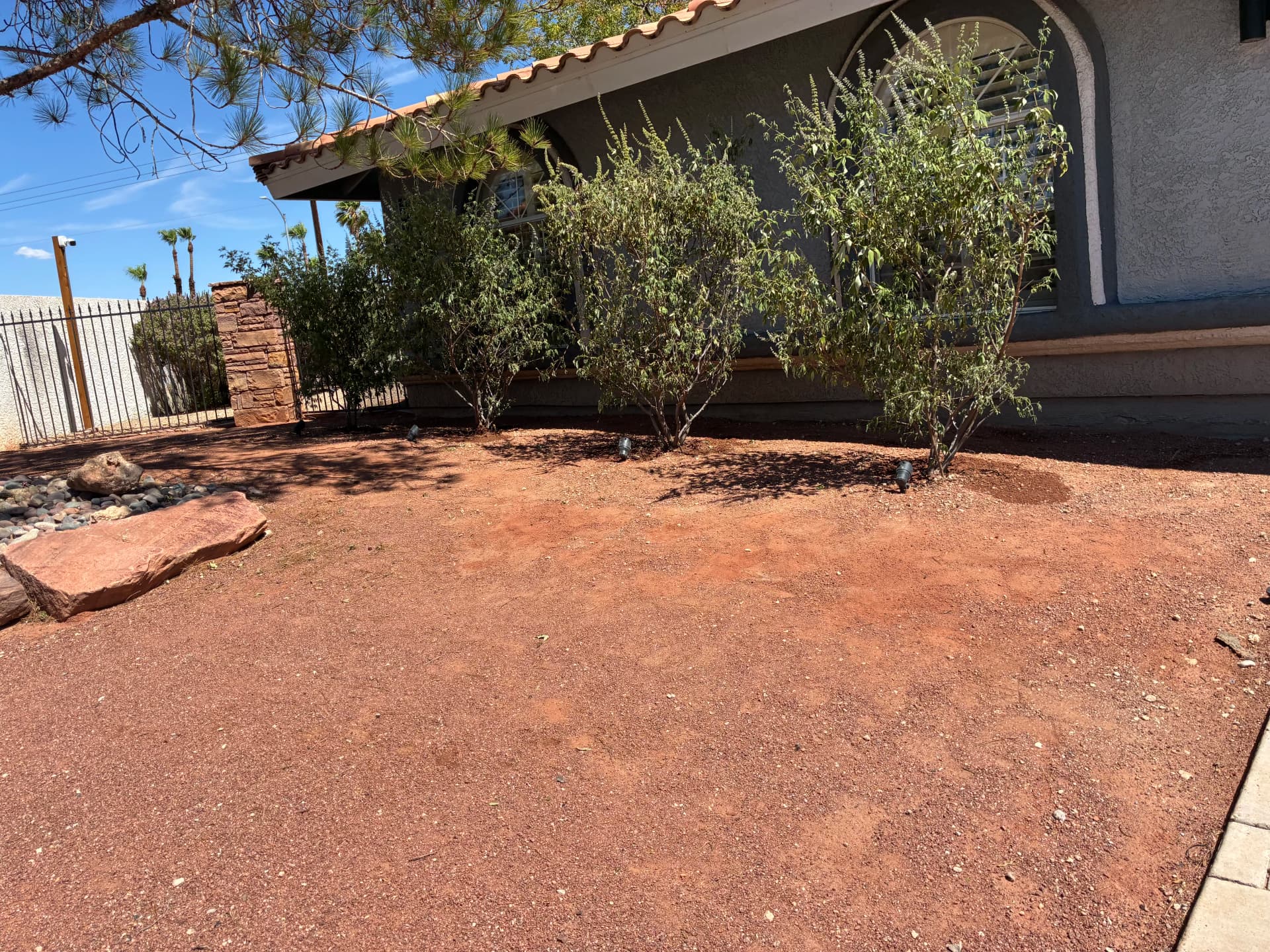 Gallery photos for Out With the Old Shrubs, In With Chaste Plants: Image #4