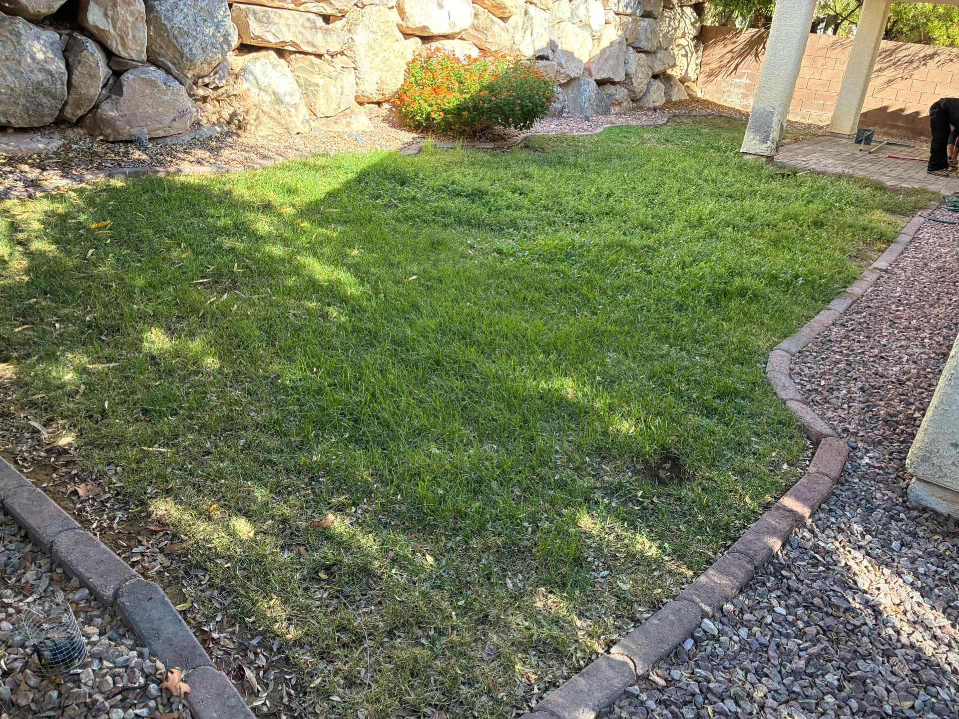 Gallery photos for Patchy Backyard Lawn Replaced with Lush Artificial Turf: Image #2